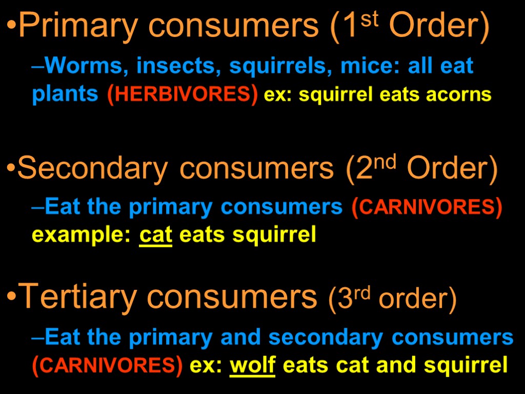 Tertiary consumers (3rd order) Eat the primary and secondary consumers (CARNIVORES) ex: wolf eats